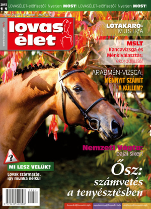 Lovasélet magazin címlaőpja