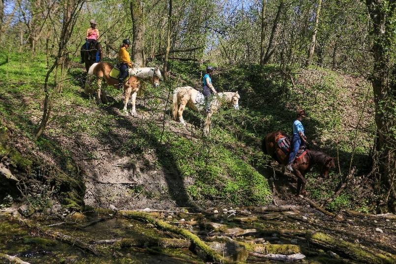 Túralovasok léptetnek a patakmeder felé az őszi erdőben. Eldobogó lovasfarm lovasai, felnőttek és gyerekek